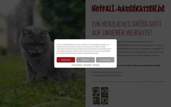 notfall-rassekatzen.de