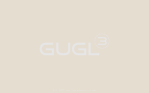 www.guglindoor.at