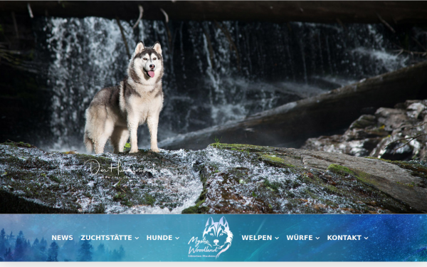 www.mystic-woodland.at