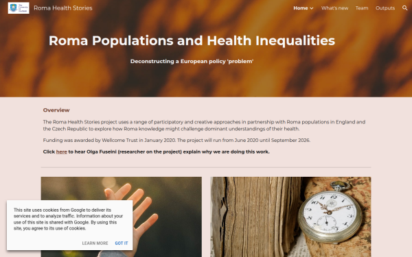 www.romahealthstories.org