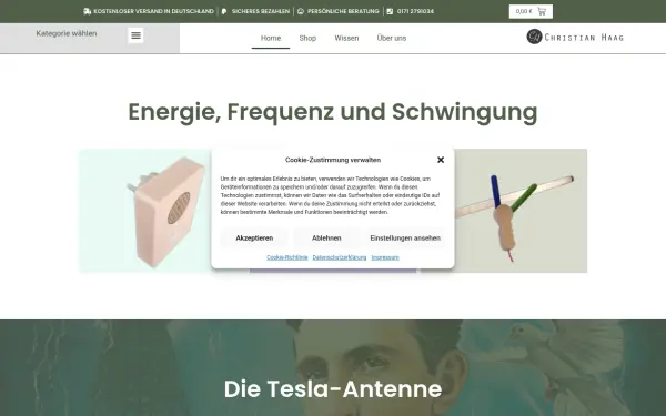 teslaantenne.com
