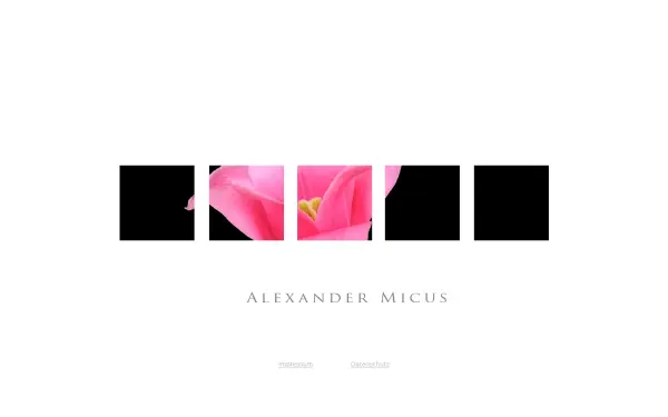 a-micus.de