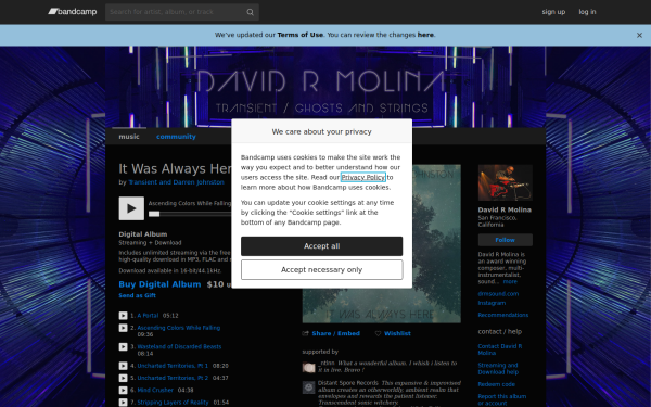 davidrmolina.bandcamp.com