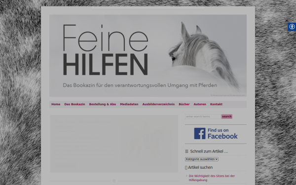 feinehilfen.com
