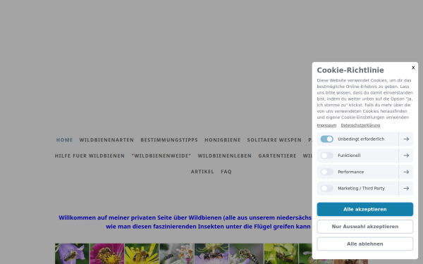 www.wildbienen-und-co.de