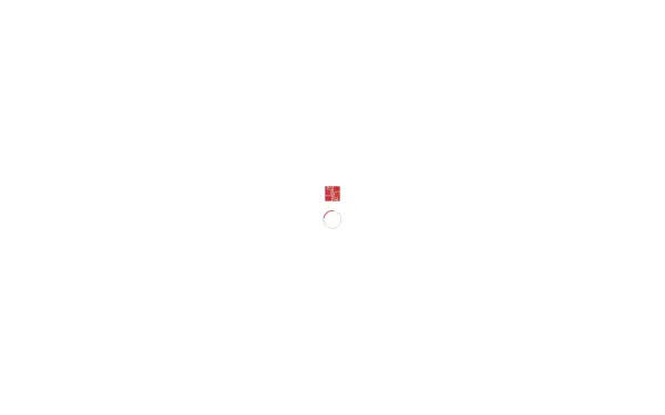 www.die-netzwerkstatt.de