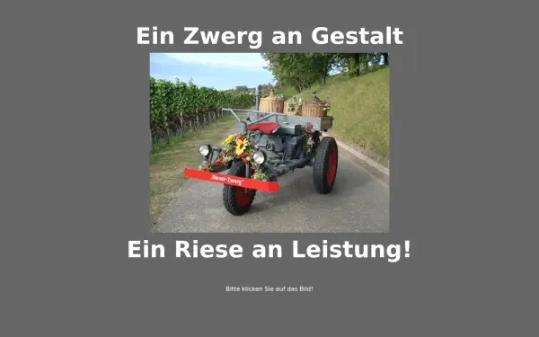dieselzwerg.de