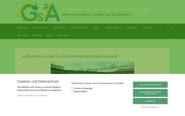 www.amberieuschule-mering.de