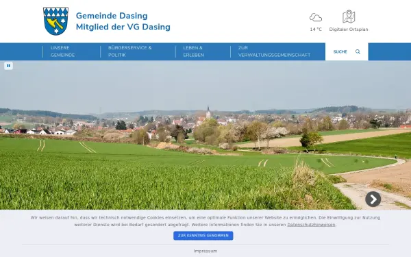 www.dasing.de