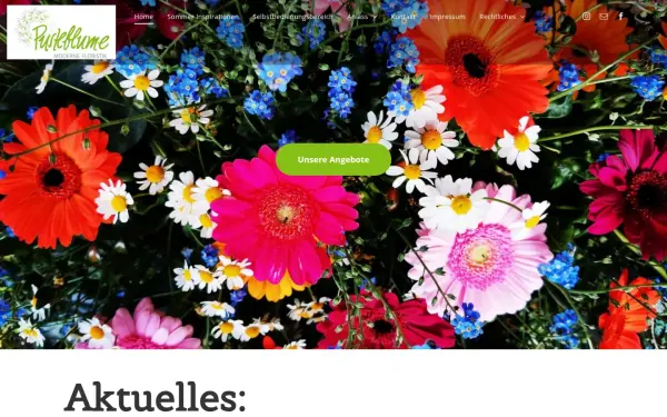 www.pusteblume-bc.de