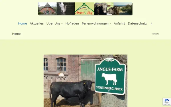 angus-hof.de
