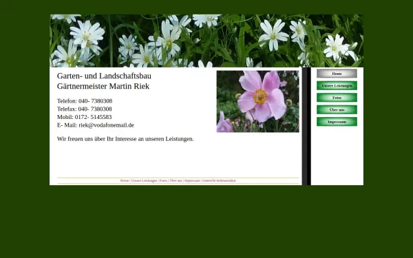 martin-riek.de