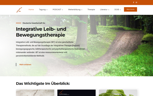 ibt-verein.de