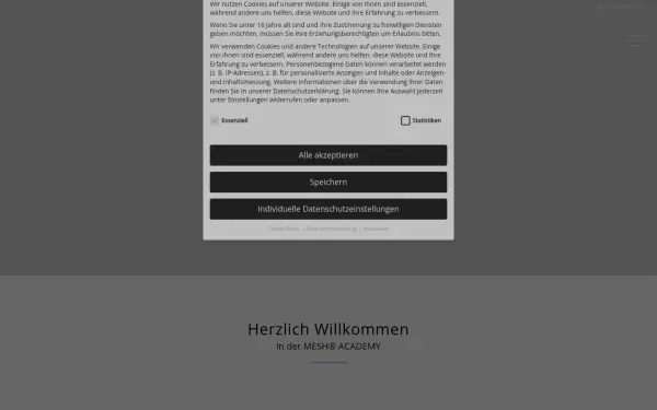 mesh-academy.de