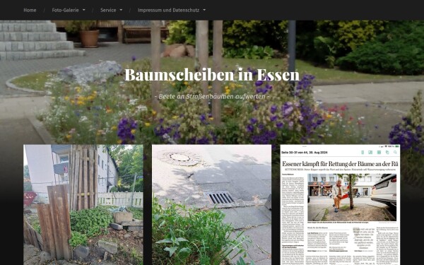 www.baumscheibe-essen.de