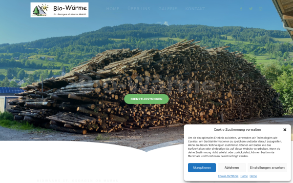 www.bioheizwerk.at