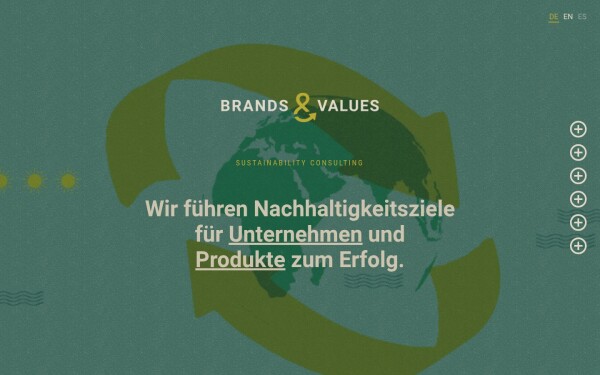 brandsandvalues.com