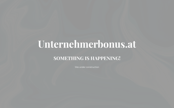 www.unternehmerbonus.at