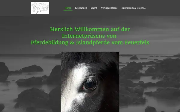 www.pferdebildung.de
