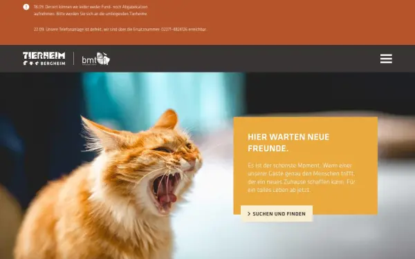 tierheim-bergheim.de