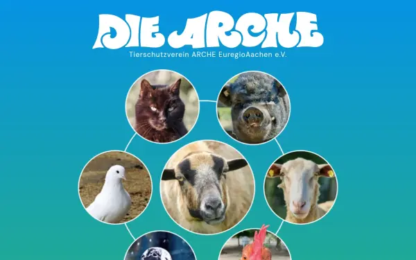 arche-aachen.de
