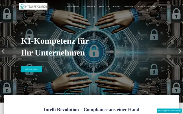 www.intelli-revolution.de