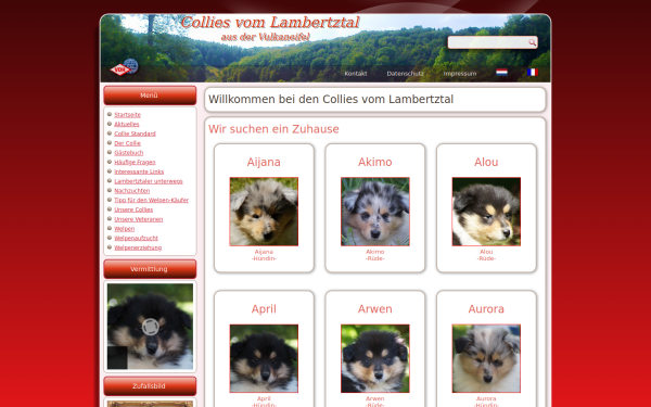 colliesvomlambertztal.de