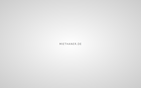 miethaner.de