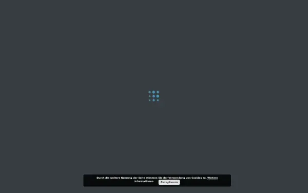 dig-management.de