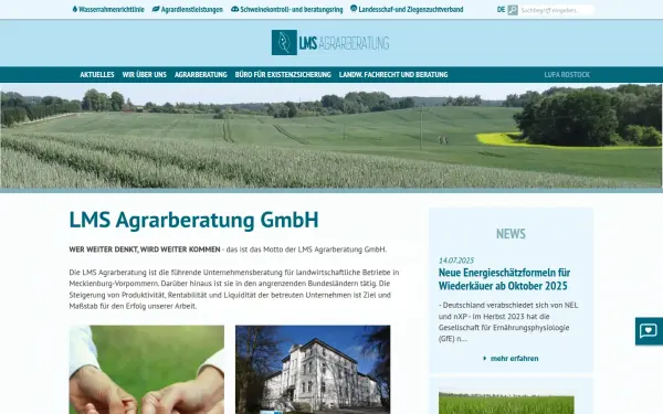 www.lms-beratung.de
