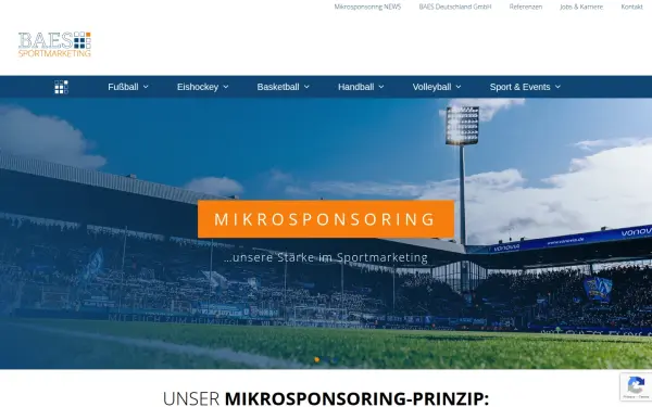 www.baes.de