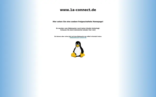 1a-connect.de