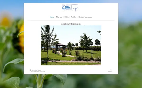 www.aph-timpe.de