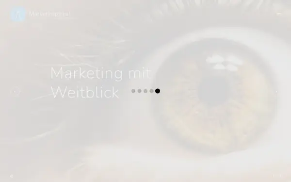 marketingzirkel.de