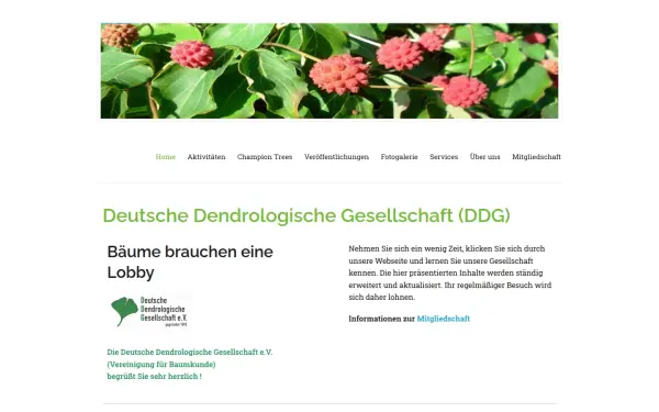 ddg-web.de