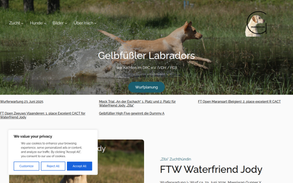gelbfuessler-labradors.de