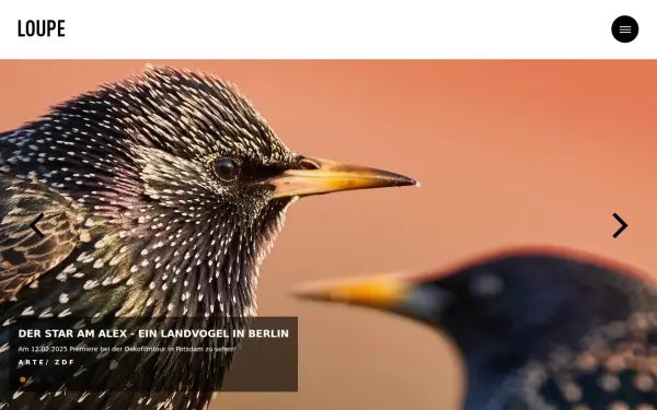 loupefilm.de
