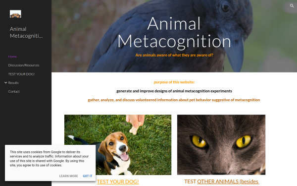 www.animalmetacognition.com