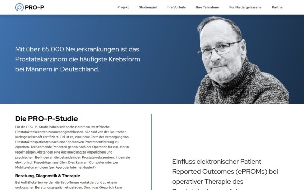 pro-p.info