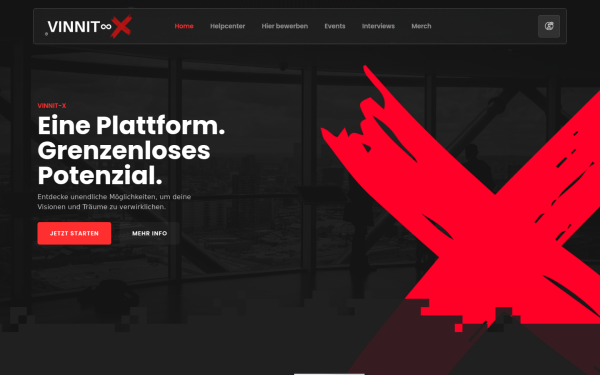 vinnit-x.com