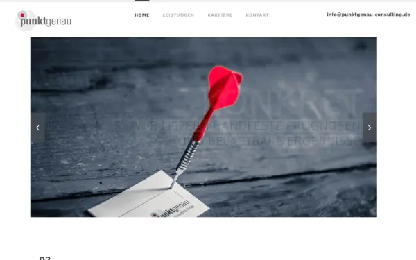 www.punktgenau-consulting.de