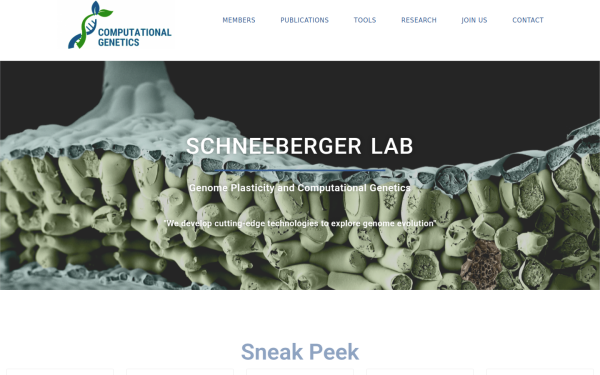 schneebergerlab.org
