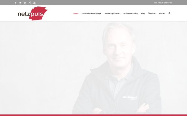www.netzpuls.ch