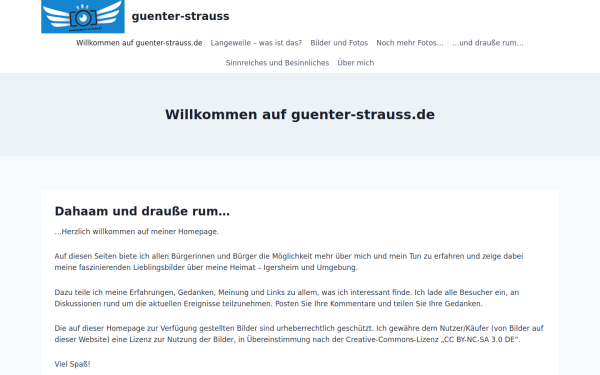 guenter-strauss.de
