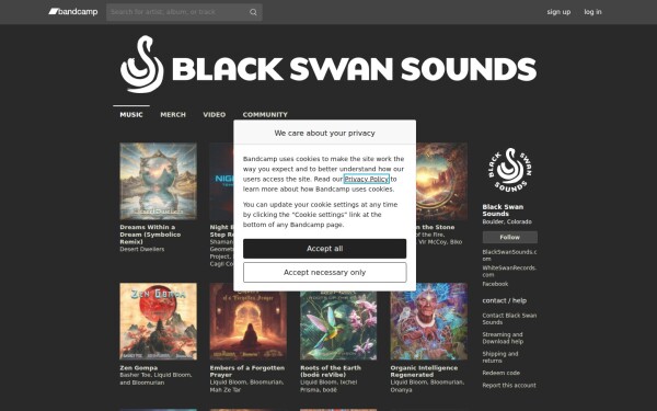 blackswansounds.bandcamp.com
