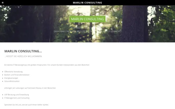 marlin-consulting.de