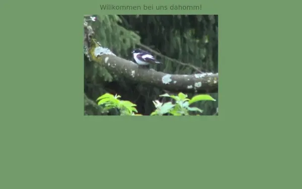dahomm.de