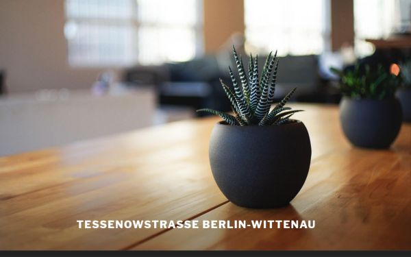 tessenowstrasse.de