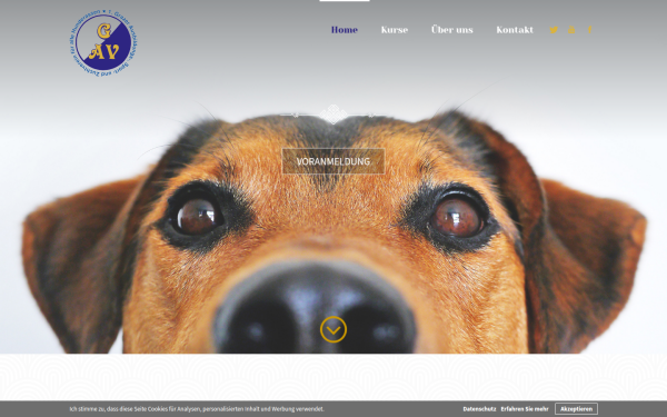 www.gav-hundeschule.at