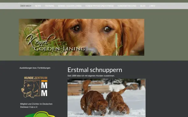 www.golden-lining.de